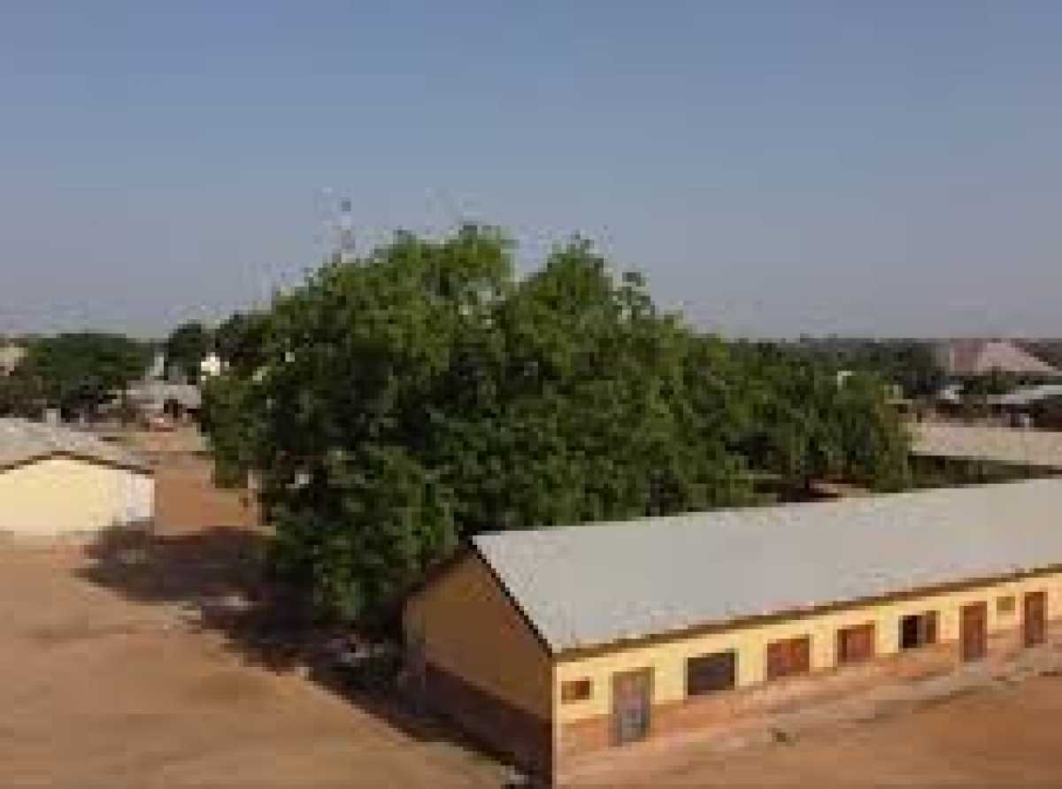 Bats force abandonment of petroleum-funded classroom block as PIAC flags stalled projects
